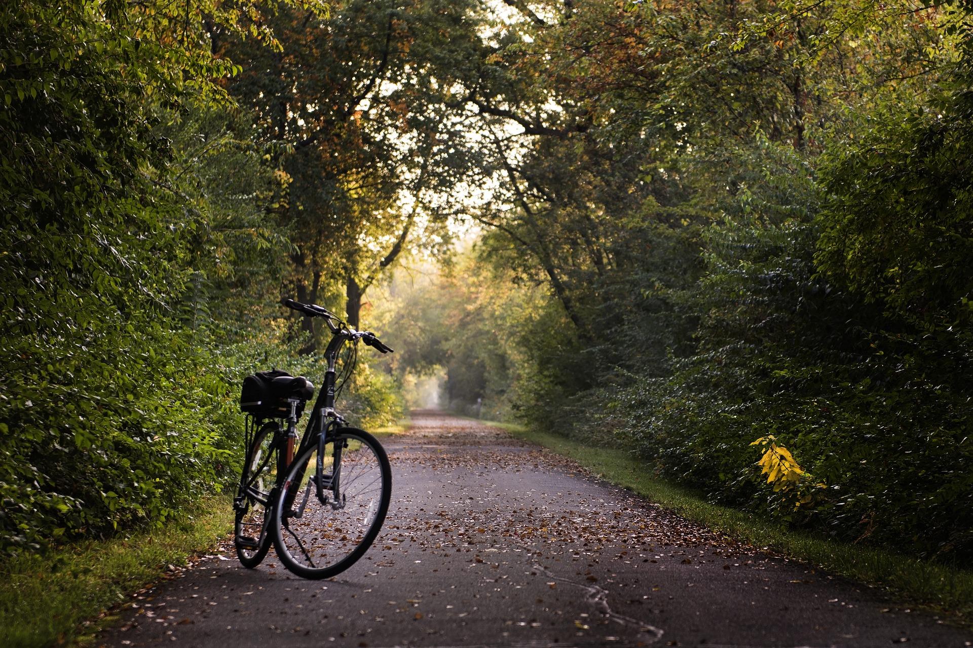 Ashuwillticook Rail Trail